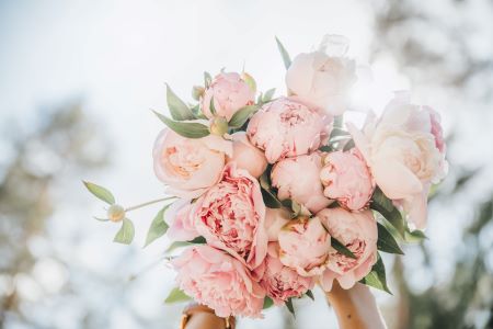 Peony - Popular Wedding Flower Bouquet