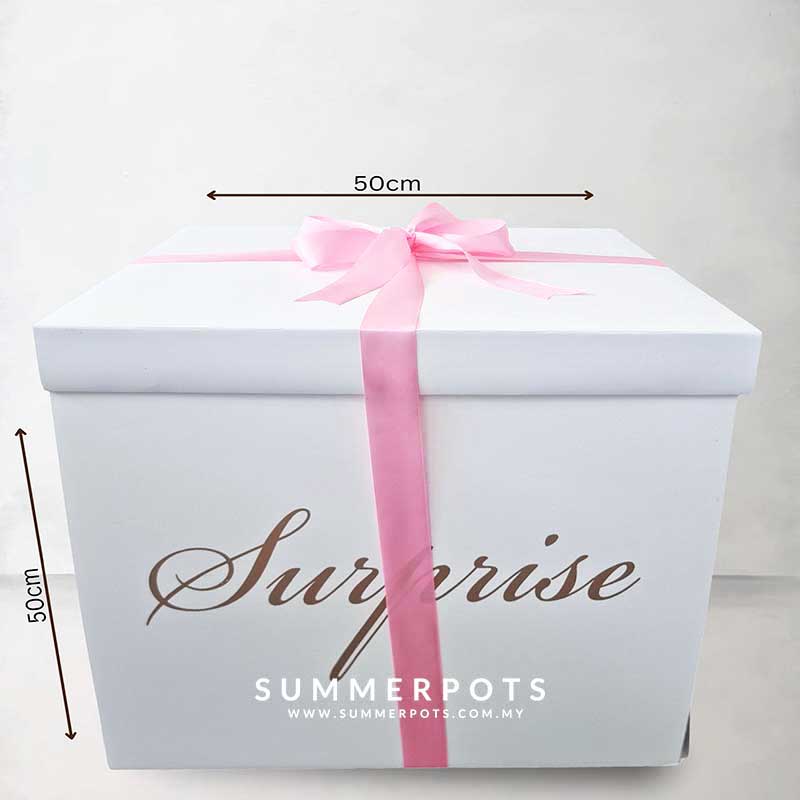 Surprise Gift Box 003